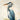 Birds Wall Art