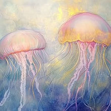 Jellyfish