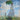 Claude Monet Wall Art