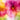 Petal Wall Art