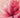Pink Color Schemes That Actually Work: 11 Perfect Pairings