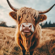 Cow