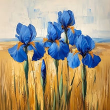Iris