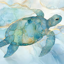 Turtle