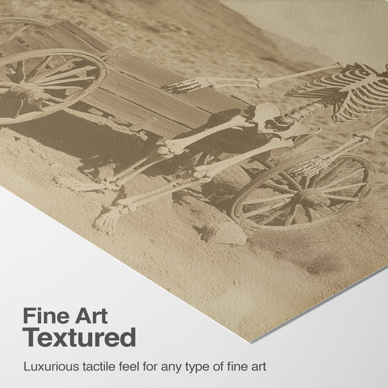 Luxurious Texture & Detail