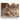 Fireside Bones Canvas Wrap / 10 x 8