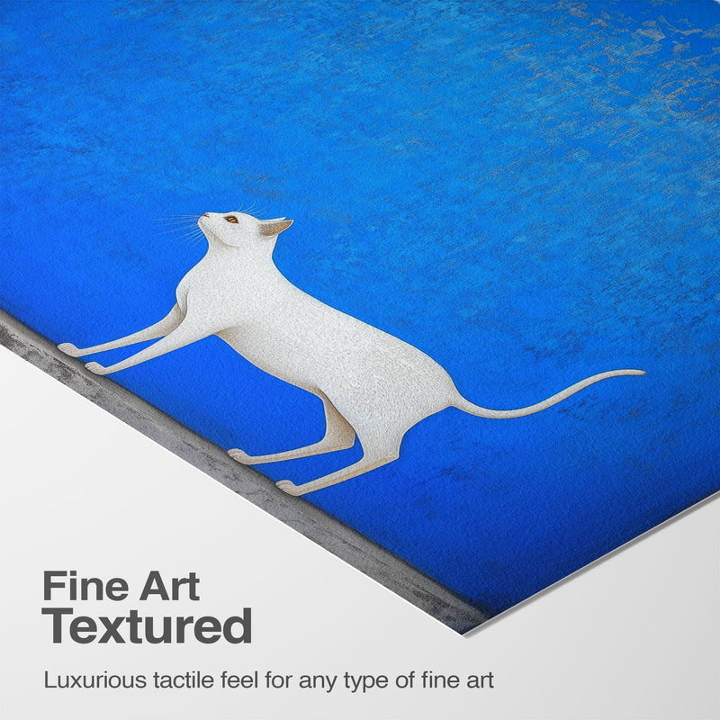 Luxurious Texture & Detail