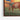 Sunlit Pastoral Bull Framed Canvas (Walnut) / 30 x 20