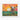 Vibrant Sunset Bovine Fine Art Print / 20 x 16