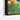 Vivid Bull Brilliance Framed Canvas (Black) / 48 x 32