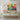 Vivid Bull Brilliance Canvas Wrap / 40 x 30