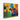 Vivid Bull Brilliance Canvas Wrap / 14 x 11