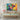 Vivid Bull Spectrum Canvas Wrap / 48 x 32