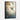 Hummingbird Elegance Framed Canvas (Black) / 20 x 30