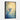 Hummingbird Glow Framed Canvas (Black) / 20 x 30
