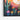 Southwestern Hummingbird Framed Canvas (Black) / 16 x 20