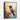 Vibrant Hummingbird Serenity Framed Canvas (Black) / 11 x 14