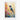 Vivid Hummingbird Harmony Fine Art Print / 32 x 48