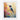 Vivid Hummingbird Harmony Fine Art Print / 16 x 20