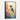 Vivid Hummingbird Harmony Framed Canvas (Black) / 20 x 30