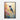 Vivid Hummingbird Harmony Framed Canvas (Black) / 20 x 30