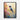 Vivid Hummingbird Harmony Framed Canvas (Black) / 18 x 24