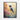 Vivid Hummingbird Harmony Framed Canvas (Black) / 16 x 20