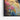 Vivid Hummingbird Harmony Framed Canvas (Black) / 16 x 20