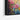 Vivid Hummingbird Harmony Framed Canvas (Black) / 16 x 20