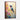 Vivid Hummingbird Harmony Framed Canvas (Walnut) / 20 x 30