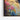 Vivid Hummingbird Harmony Framed Canvas (Walnut) / 20 x 30
