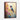 Vivid Hummingbird Harmony Framed Canvas (Walnut) / 30 x 40