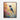 Vivid Hummingbird Harmony Framed Canvas (Walnut) / 16 x 20