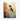 Vivid Hummingbird Harmony Canvas Wrap / 11 x 14