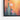 Desert Hummingbird Harmony Framed Canvas (Black) / 24 x 32
