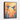 Desert Hummingbird Harmony Framed Canvas (Black) / 16 x 20