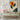 Bold Leaf Harmony Canvas Wrap / 24 x 32