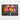 Vivid Poppy Fusion Framed Canvas (Black) / 48 x 32