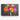 Vivid Poppy Fusion Canvas Wrap / 48 x 32