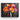 Vivid Poppy Fusion Canvas Wrap / 10 x 8
