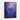Vivid Spectrum Bloom Framed Canvas (Black) / 18 x 24