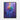 Vivid Spectrum Bloom Framed Canvas (Black) / 18 x 24