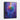 Vivid Spectrum Bloom Framed Canvas (Black) / 11 x 14