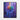Vivid Spectrum Bloom Framed Canvas (Black) / 16 x 20
