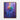 Vivid Spectrum Bloom Framed Canvas (Walnut) / 18 x 24