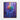 Vivid Spectrum Bloom Framed Canvas (Walnut) / 16 x 20