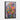 Color Splash Bloom Framed Canvas (Black) / 20 x 30