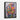 Color Splash Bloom Framed Canvas (Black) / 18 x 24