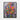 Color Splash Bloom Framed Canvas (Black) / 16 x 20