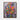 Color Splash Bloom Framed Canvas (Walnut) / 16 x 20